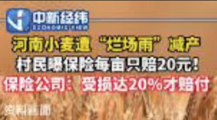 农业保险亟待改革：河南小麦遭“烂场雨”减产每亩只赔20元引发争议