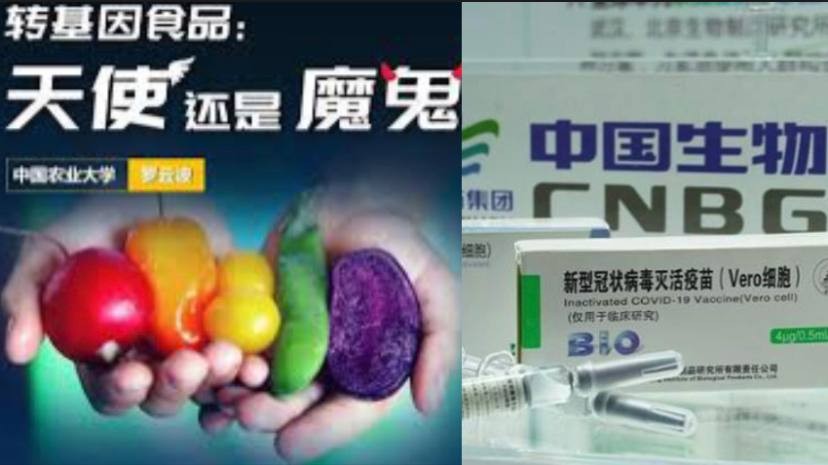 惊天无头案：中国的转基因食品和新冠疫苗谁来负责？