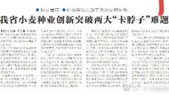 假新闻背后的“黑手”：河南日报虚假报道揭露利益共同体真相